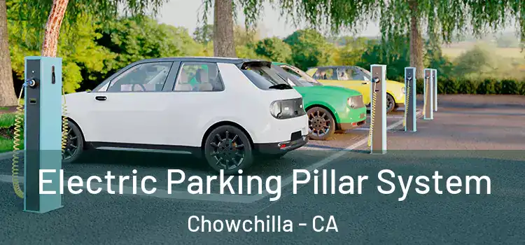 Electric Parking Pillar System Chowchilla - CA