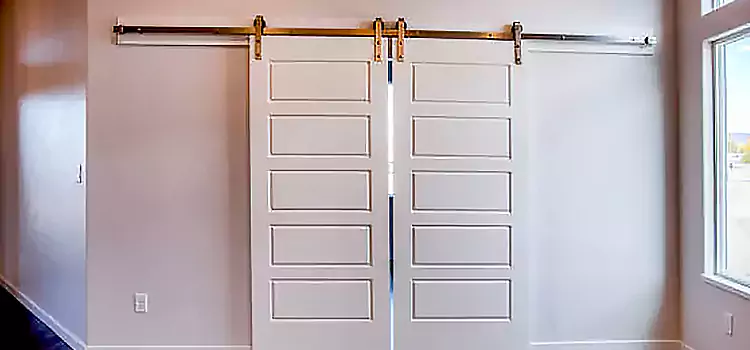 Glass Barn Door with Installation Hardware Kit Chowchilla