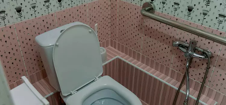 Meeting Diverse Needs With Accessible Restroom Solutions in Chowchilla, CA