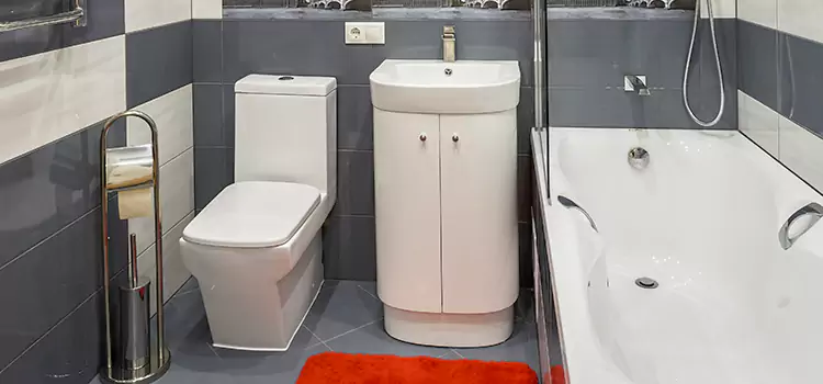 Hansgrohe Shaving Mirror Chowchilla